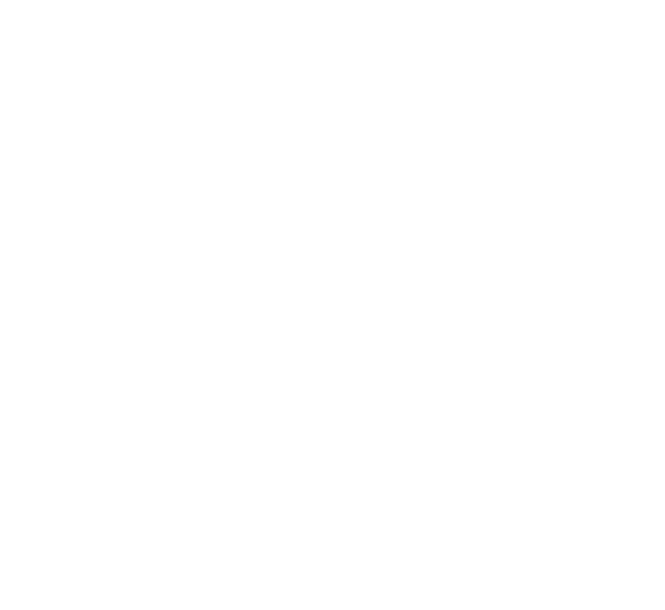 Go-Spot logo